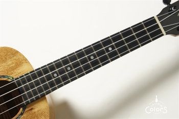 Romero Concert Spalted Mango